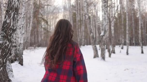 Женщина в клетчатой рубашке гуляет в снежном парке - Кадры, видео
