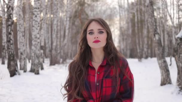 Charmante Frau mit langen Haaren spaziert im verschneiten Wald - Filmmaterial, Video