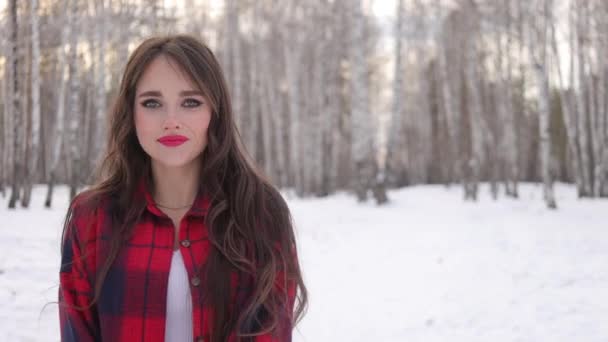 Γοητευτική γυναίκα με μακριά μαλλιά περπατώντας στο χιονισμένο δάσος - Πλάνα, βίντεο