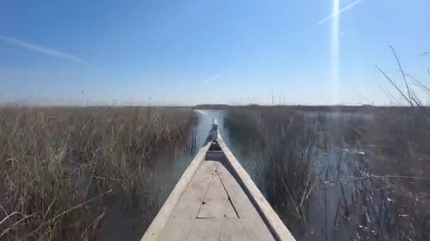 Paseo en barco por los pantanos mesopotámicos / iraquíes con los llamados árabes de los pantanos (Ma 'dan) - Metraje, vídeo