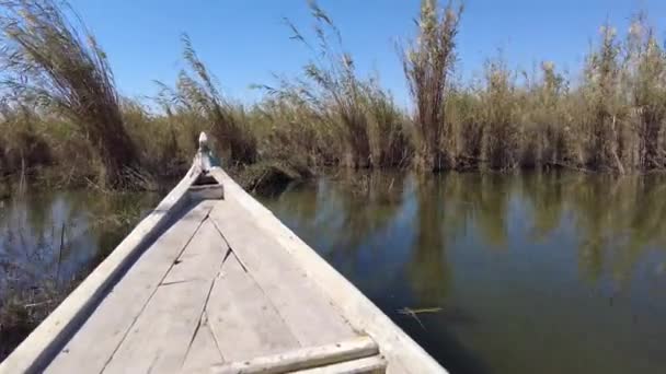 Paseo en barco por los pantanos mesopotámicos / iraquíes con los llamados árabes de los pantanos (Ma 'dan) - Imágenes, Vídeo