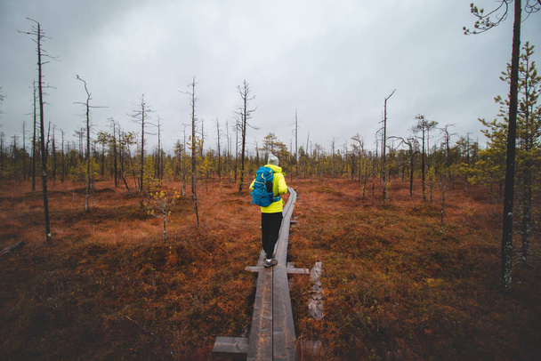 若い旅行者はRovaniemi近くの北極サークルトレイルを歩いています。ツンドラの風景。緑のジャケットと青のバックパックを持つハイカーは、ラップランドで複数日ハイキングをします. - 写真・画像