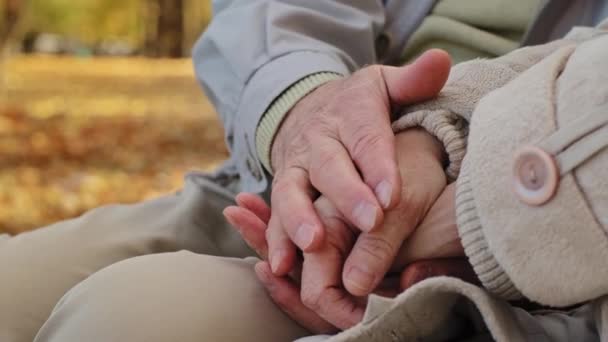Close-up elderly married couple gently stroking hands of each other romantic date in autumn park aged spouses enjoying tender moment together outdoors caring mature older man caressing palms of wife - Footage, Video