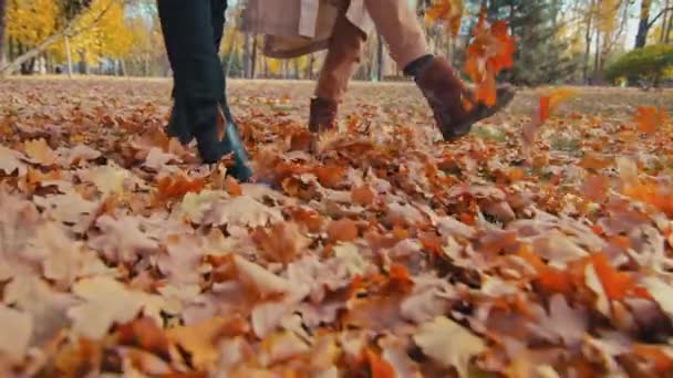 Close up two unrecognizable pairs legs walking slowly kicking fallen leaves unknown couple in autumn park guy and girl scattering leafage outdoors rejoice sunny day man walk with woman in fall forest - Footage, Video