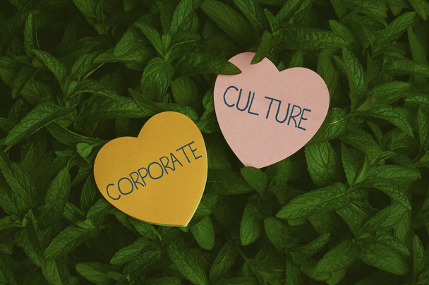 Szöveges megjelenítése Vállalati kultúra. Szó a hiedelmek és ötletek, hogy a cég közös értékek szív alakú papír tetején a szabadban természet levél növény Bush. - Fotó, kép