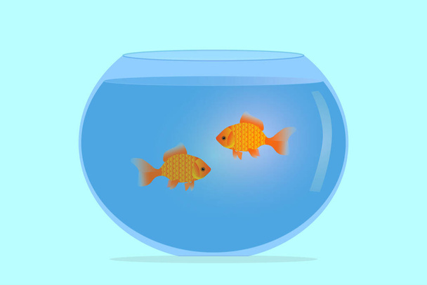 ilustração de um aquário com dois peixinhos dourados. Aquário de vidro com água e peixinho dourado - Vetor, Imagem