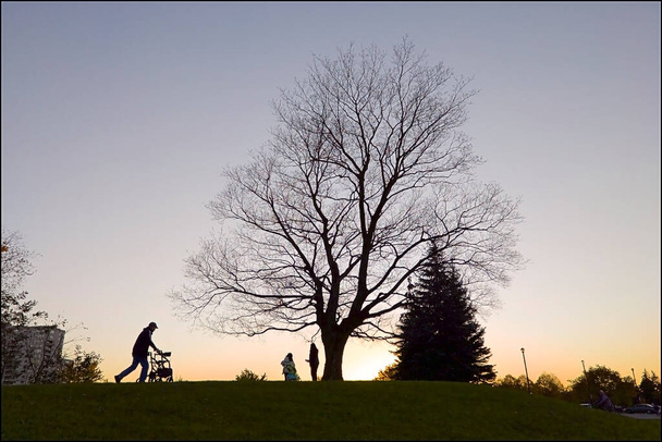 Силует батька штовхає дитячу коляску в парку на заході сонця
 - Фото, зображення