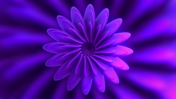 Außerirdische lila Form einer Blume mit wechselnden Blütenblättern, nahtlose Schlaufe. Bewegung. Alien blühende symmetrische Blume. - Foto, Bild