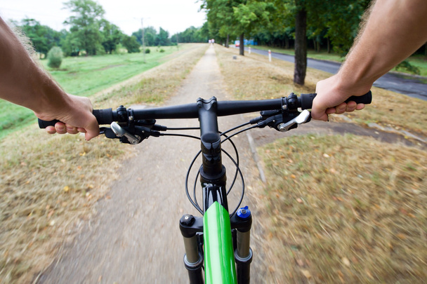 Riding a bike in summer park - Foto, Imagen
