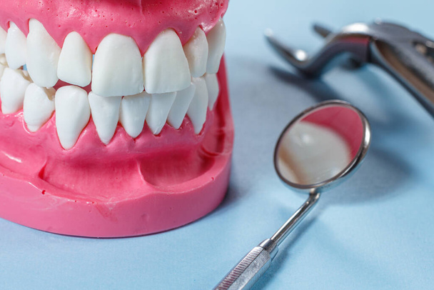 Roestvrij stalen tandheelkundige spiegel en lay-out van de menselijke kaak op de blauwe achtergrond. - Foto, afbeelding