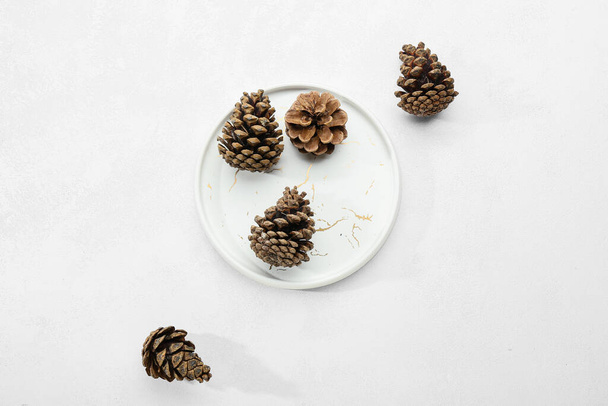 Assiette avec cônes de pin sur fond blanc - Photo, image