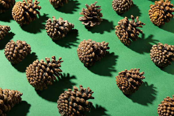 Pine cones on green background - Photo, Image