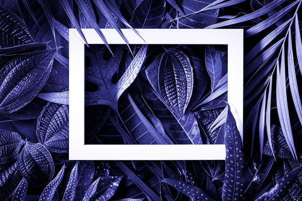  Біла рамка в мікшуванні фону тропічних листя, простір для копіювання, вид зверху, у фіолетовому, фіолетовому, дуже періодичному тонуванні
  - Фото, зображення