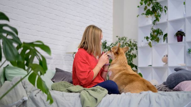 Cute little girl hugging corgi dog with love eyes closed, smiling. Dog lover with domestic animal. soft selective focus - Zdjęcie, obraz