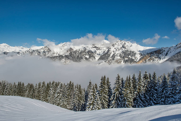 Winter landscape after a snowfall on the Italian Alps - Foto, imagen
