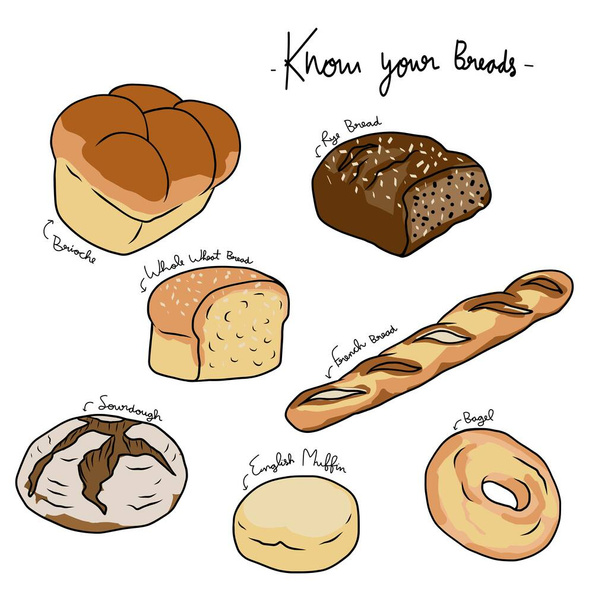 Connaissez votre illustration vectorielle de graphique de pains - Vecteur, image