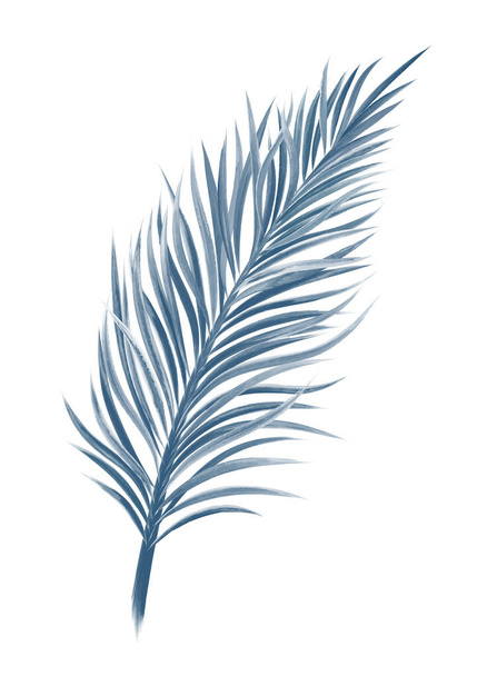 Aquarel tropisch blad op witte achtergrond vector illustratie - Vector, afbeelding