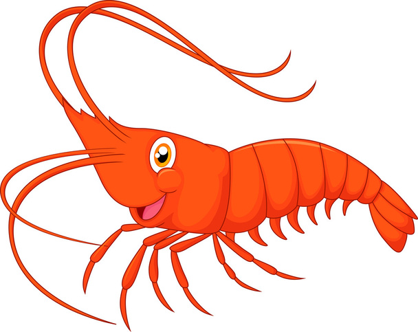 roztomilý kreslený krevety - Vektor, obrázek