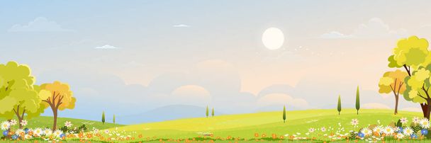 Primavera campos verdes paisaje orang, cielo azul y nubes de fondo, Panorama naturaleza rural pacífica en primavera con tierra de hierba verde por la mañana. Vector de dibujos animados para la bandera de primavera y verano - Vector, imagen