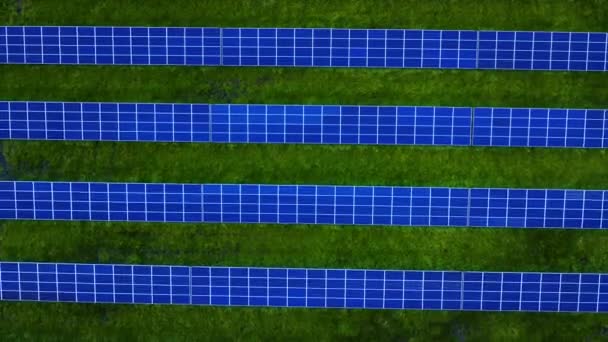 Bovenaanzicht blauwe zonnepanelen rijen op groen gras. Zonne-energie batterijen boerderij. Energie - Video