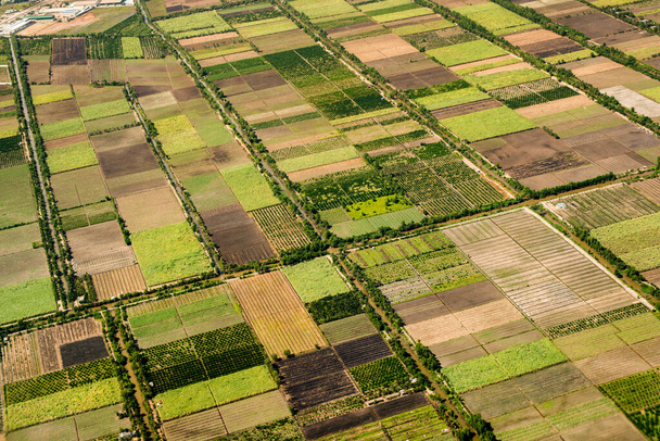 аэрофотосъемка с самолета, вид сверху, полевые сады и далеко - Фото, изображение