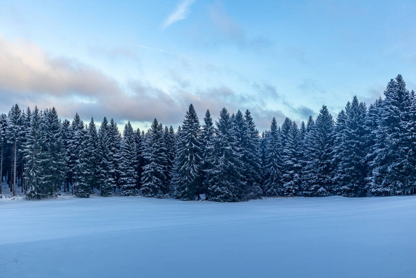 Первая зимняя прогулка по самому красивому закату - Германии - Фото, изображение