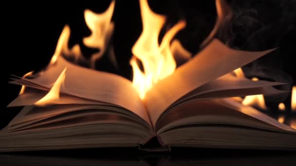 książka jest w ogniu - Materiał filmowy, wideo