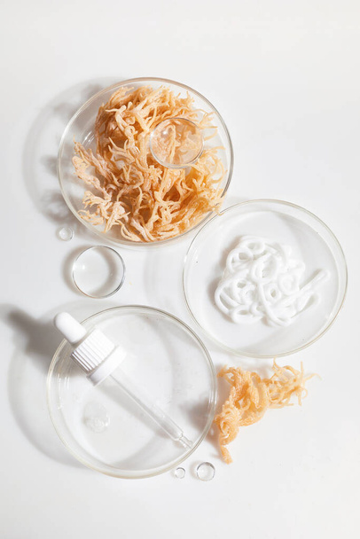 Abstract cosmetic laboratory. Nature cosmetics with sea moss. Chemical laboratory research. - Zdjęcie, obraz