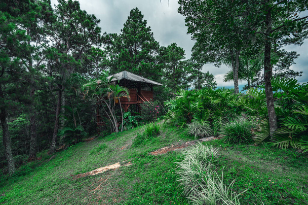 Camping föld Dominikai Köztársaság között tökéletes természeti táj. Szabadidős központ a dzsungelben, a trópusi erdők körül a hegyekben. Fenyő és tenyér, csodálatos táj, széles látószögű fotó. - Fotó, kép