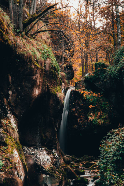 A beautiful shot of a waterfall in the forest - Zdjęcie, obraz