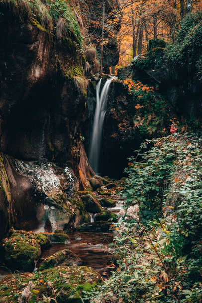 Прекрасний знімок водоспаду в лісі
 - Фото, зображення