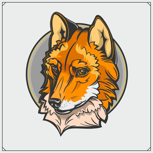 Beautiful fox emblem and label. Vector illustration. - Vektori, kuva