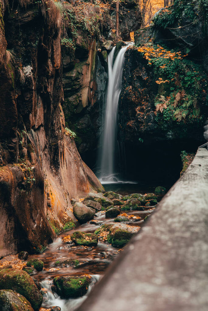 A beautiful shot of a waterfall in the forest - Фото, изображение
