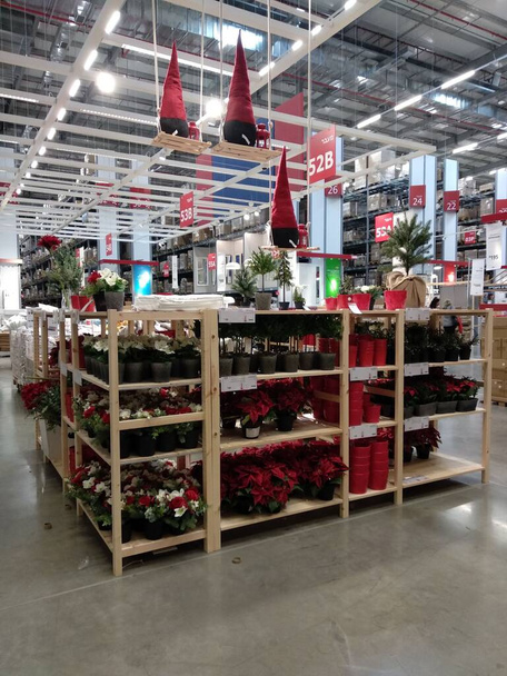 Beer-Sheva Israel Oktober 2019 10 Red Christmas decorate gnome in high triangular felt hats, toys under the Christmas tree in the Ikea store. High quality photo - Photo, Image