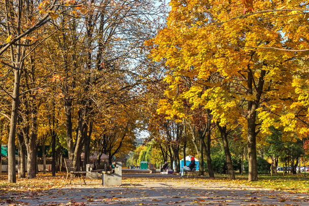 Golden autumn, Prospect on the Victory Embankment, a spit near the Dnieper river, Cathedral district, Dnipro city, Ukraine  - Foto, Imagem