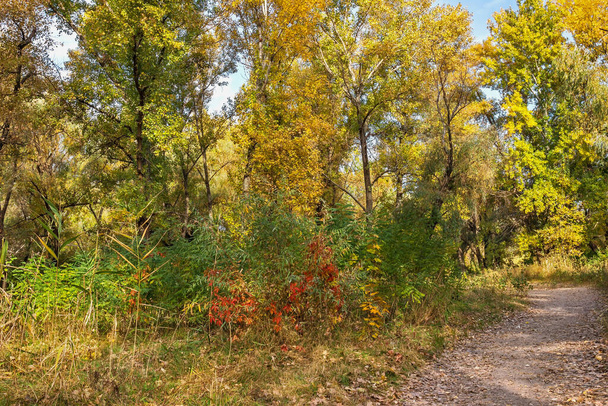 Arany ősz, Kilátás a győzelemre rakpart, köpés közel a Dnyeper folyó, Székesegyház kerület, Dnyipro város, Ukrajna  - Fotó, kép