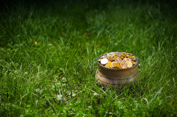 pot with golden coins, green grass background - Foto, Imagem