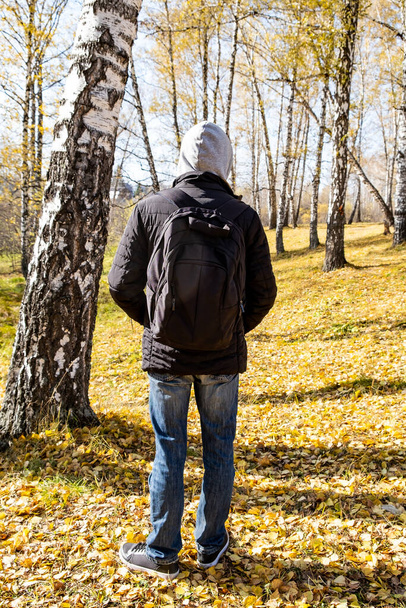 Rear View of a Young Man in the Autumn Forest Alone - Фото, изображение