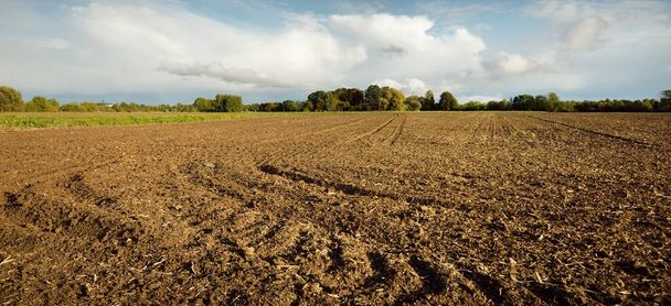 Plowed agricultural field under dramatic sky, tractor tracks, soil texture close-up. Rural scene. Farm and food industry, alternative energy and production, environmental conservation theme - Photo, Image