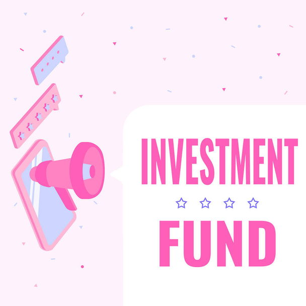 Writing displaying text Investment Fund. Business idea A supply of capital belonging to numerous investors Monitor Drawing With Megaphone Producing Lighting To Message . - Photo, Image