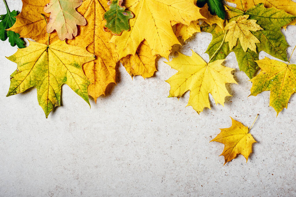 Жовте осіннє кленове листя на світло-сірому кам'яному фоні. концепція осіннього часу
. - Фото, зображення