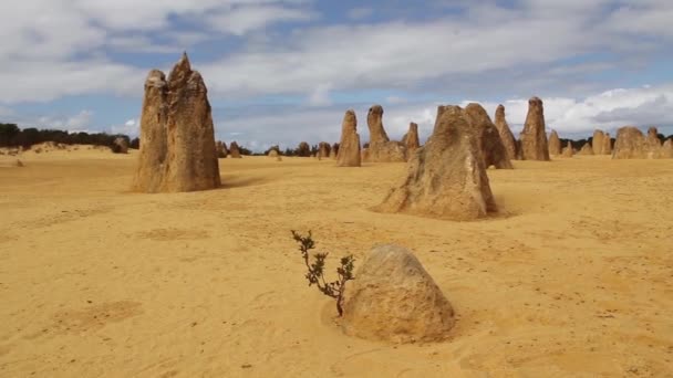 Pinnacles cervantes zachodnia Australia - Materiał filmowy, wideo