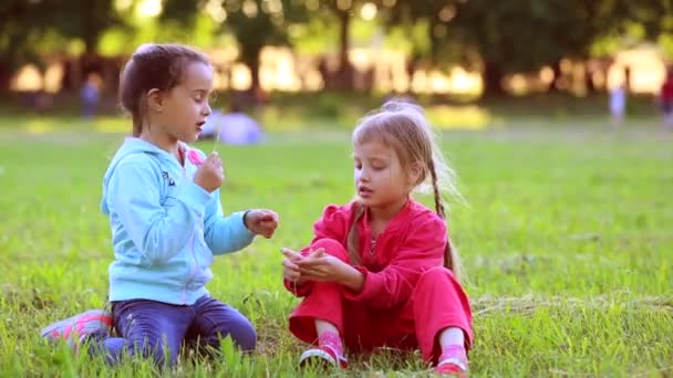 Two little girls sitting on grass. Summer fun. little girls play in the field - Footage, Video