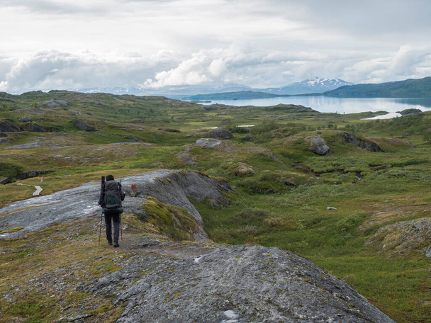 Man hiker with backpack walking at footpath in Lapland landscape at Virihaure lake with green mountains, birch trees and boulders. Sweden summer wild nature, Padjelantaleden hiking trail. - Foto, Imagem