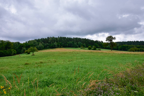 Montagnes Bieszczady, beau paysage naturel par un après-midi d'été sous la pluie.  - Photo, image