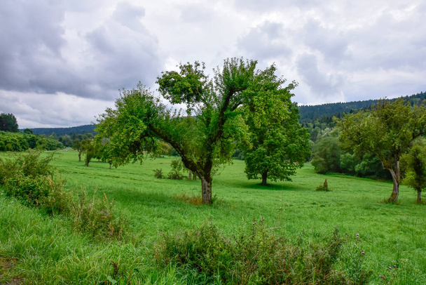 Montañas Bieszczady, hermoso paisaje natural en una tarde de verano bajo la lluvia.  - Foto, Imagen