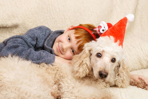 Boy hugs a dog celebrating new year, christmas. Interaction, friendship between a child and a dog. - Foto, imagen