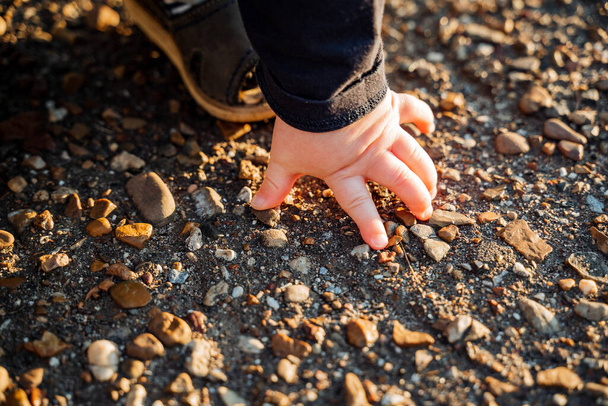 a childs hand on the background of asphalt. Little childrens fingers touch rocks on the ground. - 写真・画像