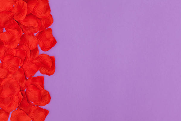 Em um fundo violeta várias pétalas vermelhas são empilhadas em um lado deixando muito espaço de cópia do outro lado. - Foto, Imagem