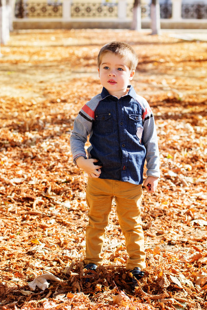 Little toddler boy in autumn park - Fotó, kép